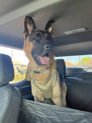 photo of Angelica S.