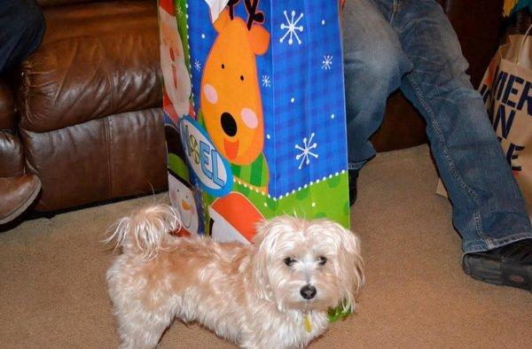 photo of Stephanie F.