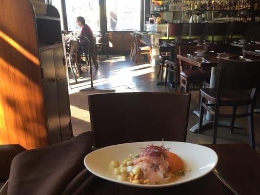 photo of rossmary v.