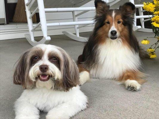 photo of Anna Marie Q.