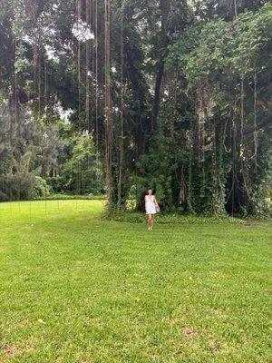 Photo of Petrina M.