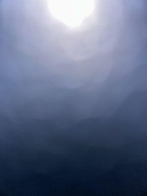 photo of Elizabeth S.