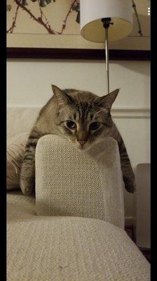 Photo of Julianna T.