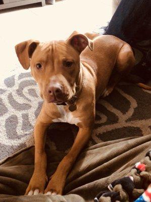 photo of Danielle C.