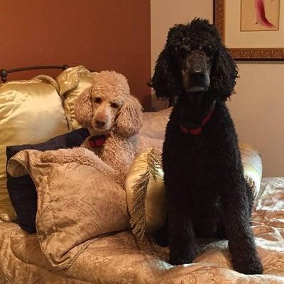 photo of Patricia J.