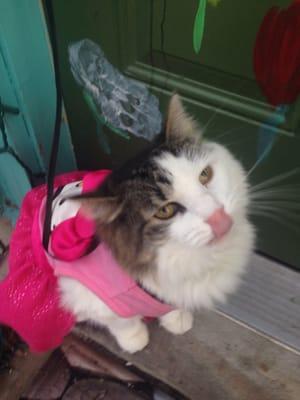 Photo of Tova Z.