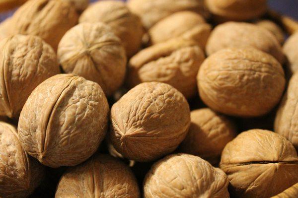 photo of Valentina A.