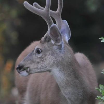 Photo of Yukyuegeorge S.