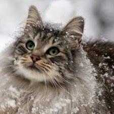 photo of Benjamin A.