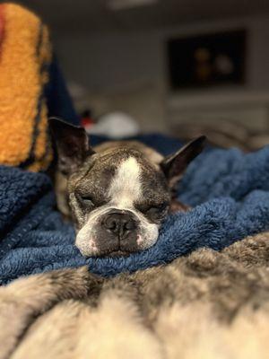 Photo of Samantha S.