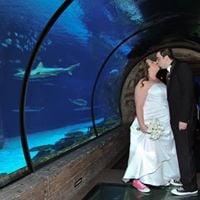 photo of Samantha P.