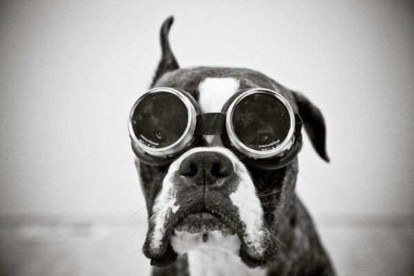 photo of Elliott C. C.