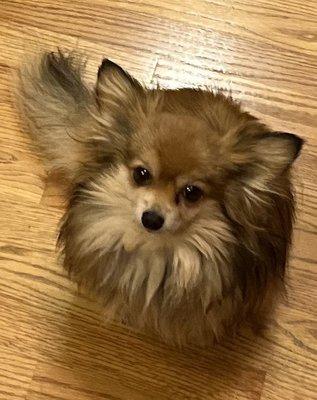 photo of Christopher R.