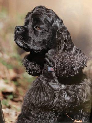 Photo of Julie K.