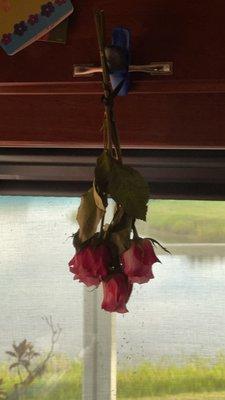 photo of Virginia M.