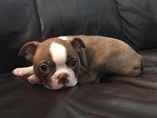 photo of Nicholas S.