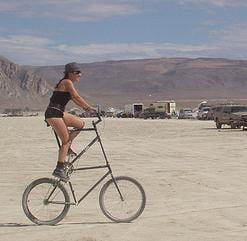 Photo of Stacey M.