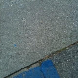 photo of Khurshid A.