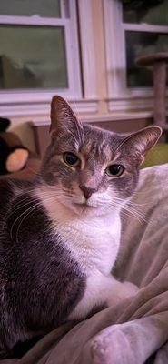 Photo of Angel S.