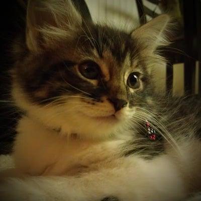 Photo of Molly K.