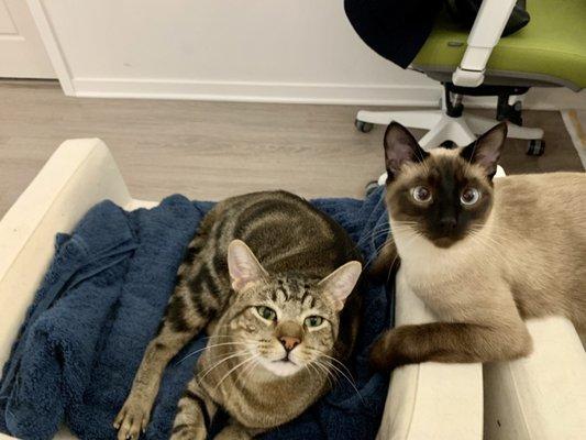 photo of Hung-Hao L.