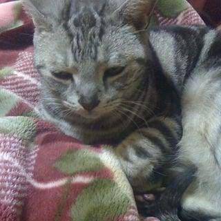 Photo of Miho C.