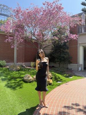 Photo of Mayi B.