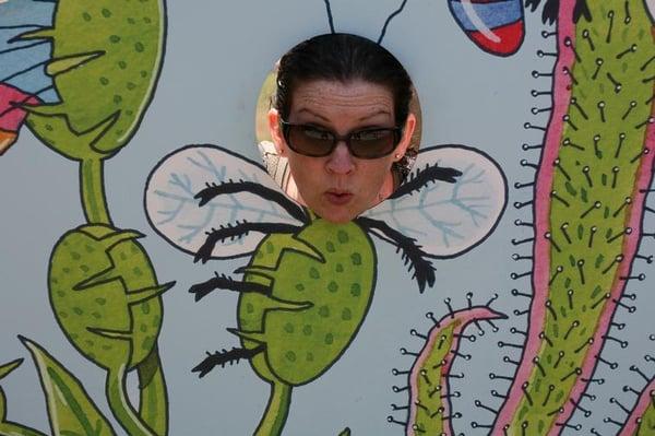 Photo of Sue O.