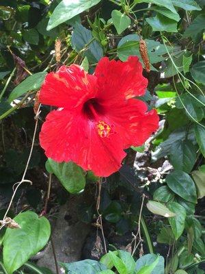 Photo of Anila A.