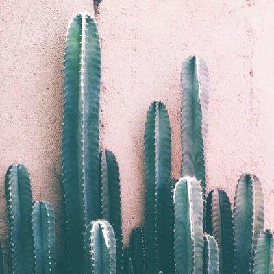 Photo of Scarlett K.