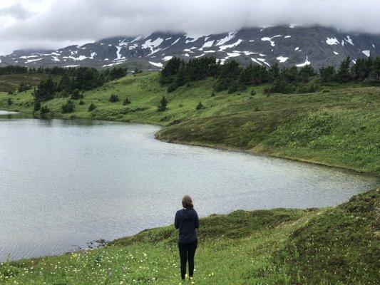 photo of A. Marie K.