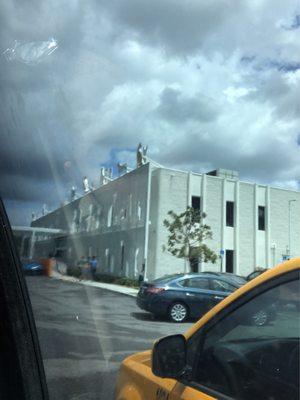 photo of Christine V.