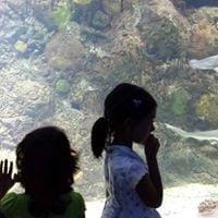 Photo of Jayaraman I.