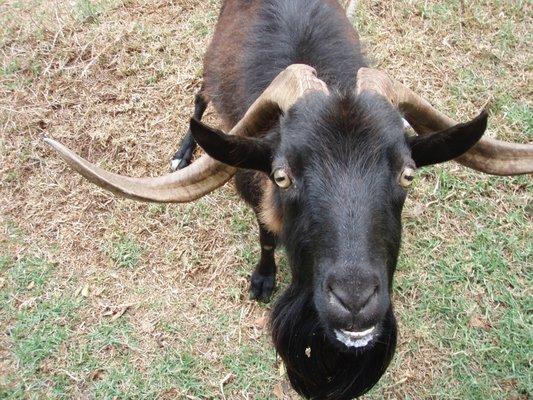 photo of Christopher C.