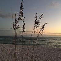 Photo of Wanda S.