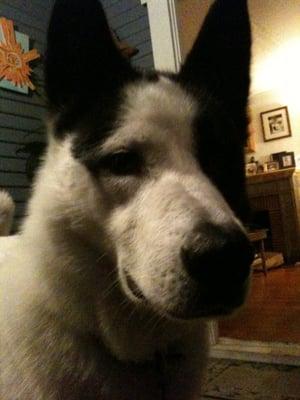 photo of francisco f.