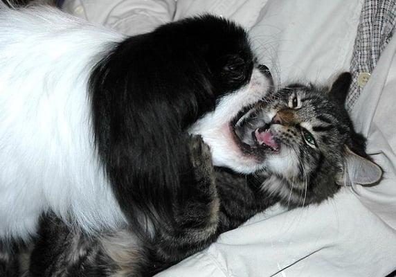 photo of CHARLSEY C.