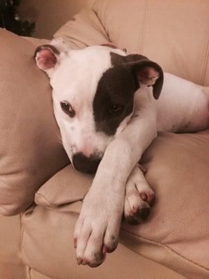 photo of Isabella M.