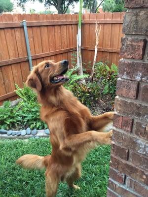 photo of Christopher L.