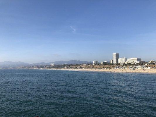 photo of Andreina D.