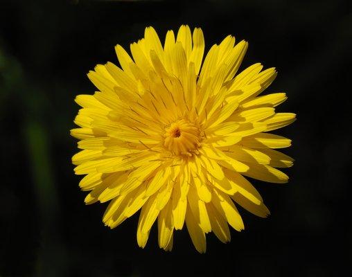 photo of Ken -.
