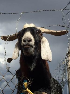 Photo of Branton T.