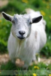 Photo of Kristi W.