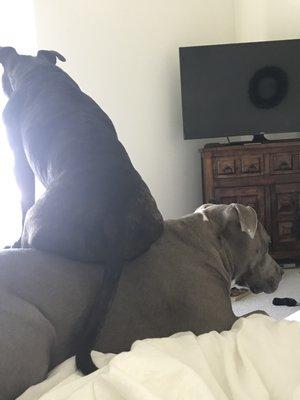 photo of Jennifer M.