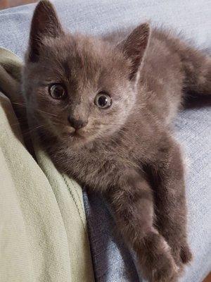 photo of Kearstyn J.