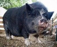 photo of Franklin W.