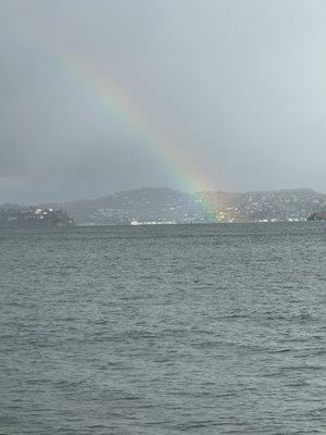 photo of Patricia H.