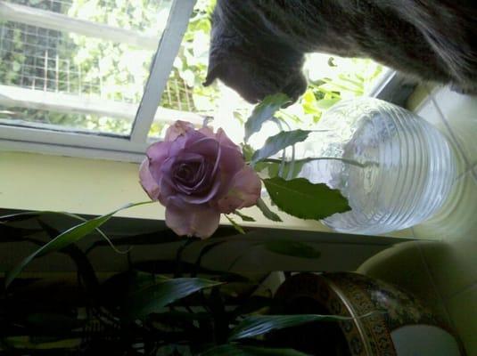 photo of Donna j r C.