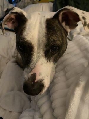 photo of Watching Y.