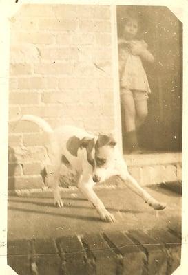 Photo of Lauren T.